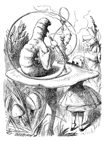 448px-Alice_par_John_Tenniel_15